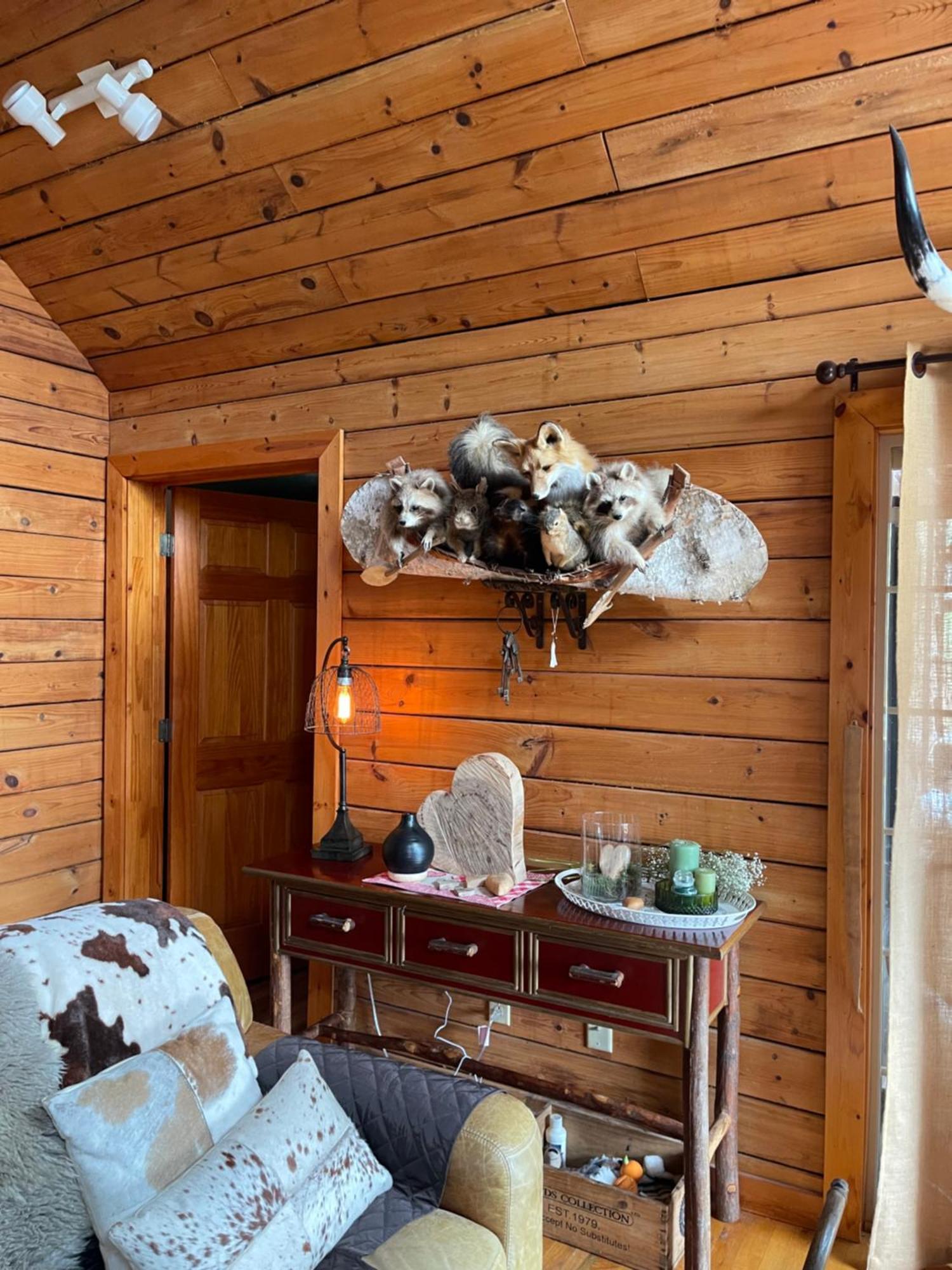 Homestead Retreat Newport Luaran gambar